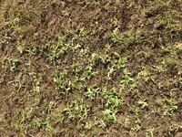 k-IMG_2075.webp