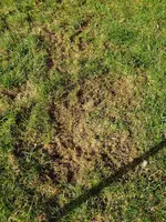 20210329_105357.webp