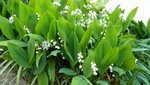 DSCN4741.JPG