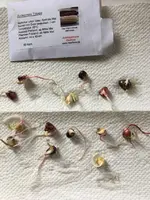 Zuckermais.webp Zuckermais.webp