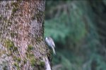 DSC09721.JPG