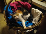 IMGP1348.JPG