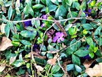 IMG_20210328_161038_1.jpg