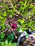 IMG_20210409_165511_1.jpg