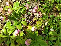 IMG_20210328_162446.webp