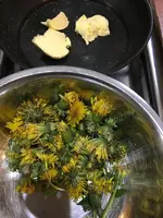 Löwenzahnbl.webp