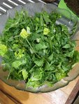 Salat1.JPG