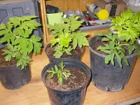 09_04_2021 (2).webp