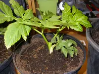 09_04_2021 (6).webp