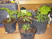 09_04_2021 (7).webp