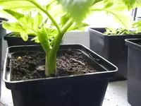 03_04_2021 (14).webp