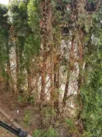 1618054853720.webp