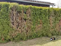 1618054882191.webp