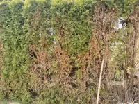 1618054905642.webp