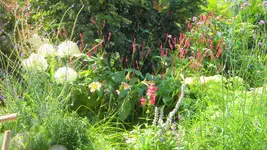 DSCN3335.webp