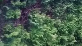 20210_194830.jpg