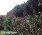 *2015_01_ beschriftet.jpg