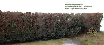 *2015_03_ beschriftet.jpg