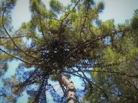 DSCN7837 (2).webp