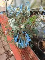 20210411_115458.webp
