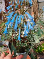 20210411_115441.webp