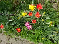 DSC01613.webp