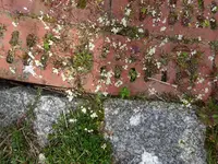 DSC01615.webp