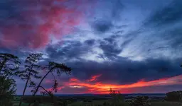 C683F537-B5FF-45E8-ACA6-706E05B732B6.webp