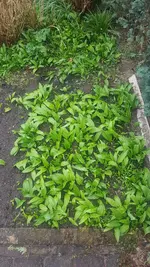 20210410_131252.webp