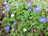 DSCF4614 (2).webp