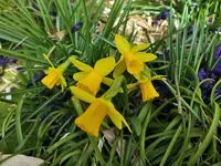 DSCF4617 (2).webp