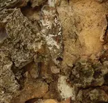 Screenshot 2021-04-12 110127.jpg Screenshot 2021-04-12 110127.jpg