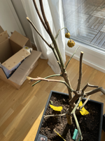 image-202104030946.webp