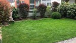 650D5312-BD36-45AD-81DF-9F97BDFC7813.jpeg