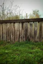 IMG_20210412_1617144-01.webp