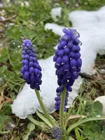 00325367-087F-43EB-8AA5-88DAF817703D.webp