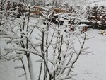 20210413_070414.jpg