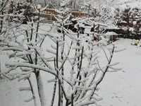 20210413_070414.webp