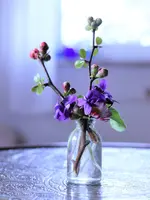 image001.webp