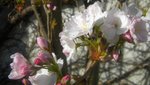DSCN2198.JPG
