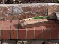 HPIM4261[1].webp