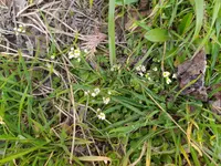 IMG_20210331_102006.webp IMG_20210331_102006.webp