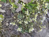 IMG_20210331_144410.webp IMG_20210331_144410.webp