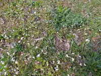 IMG_20210411_133127.webp IMG_20210411_133127.webp