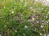 IMG_20210411_133134.webp IMG_20210411_133134.webp