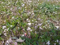 IMG_20210411_133140.webp IMG_20210411_133140.webp