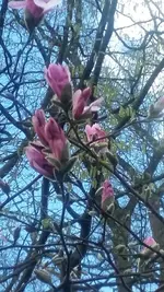 20210412_165325.webp