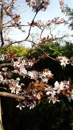 20210413_172304.webp