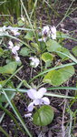 20210413_165255.jpg