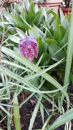 20210413_111901.webp
